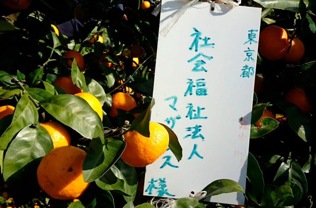 就労支援(障がい福祉サービス)