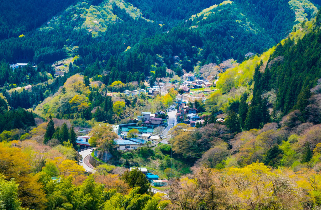 地域との連携